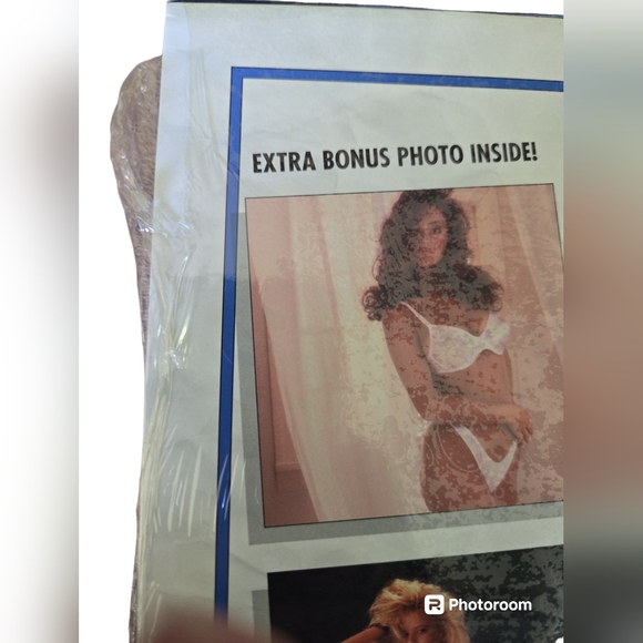 PLAYBOY'S LINGERIE SPECIAL 16 MONTH 1992 CALANDER - Picture 3 of 5